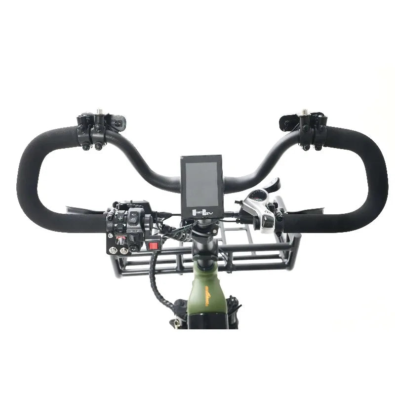 Powerful 2500W 3 Wheel Electric Scooter Adult Trike 2-Seater Electric Motorcycle Fat Tire Off-Road ETricycle Mobility Cargo Bike