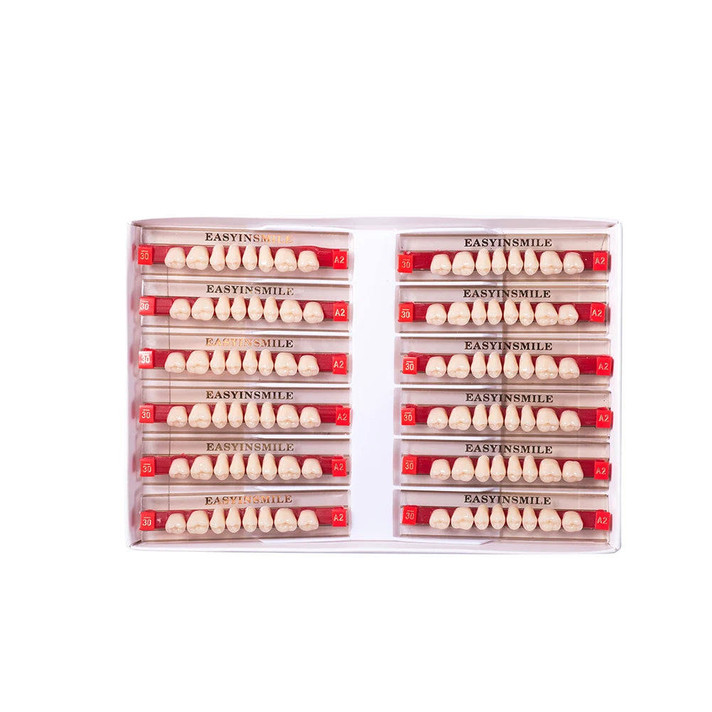 84/96PCS Dental Resin Teeth Acrylic Synthetic Denture A1 A2 A3 Shade 2-Layer Acrylic Denture Education Model Upper/Lower A1-D4
