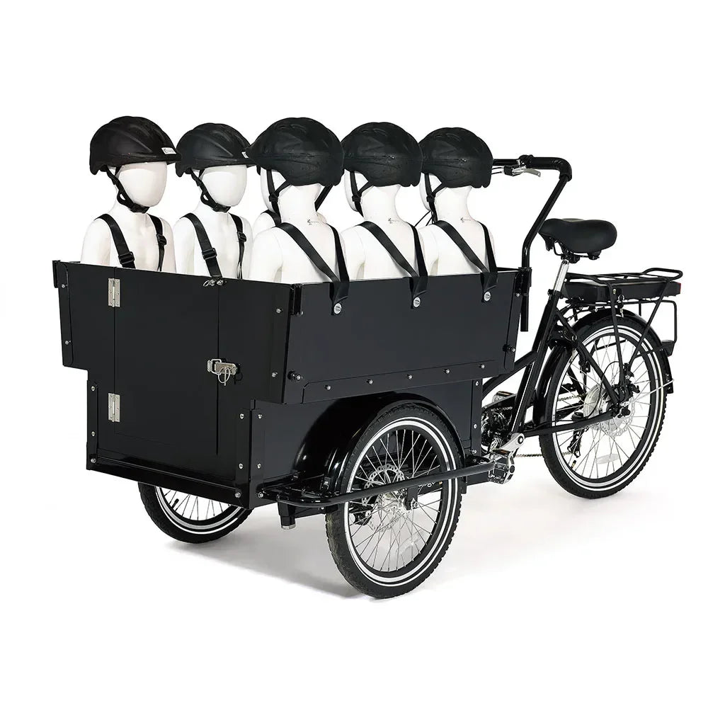 Electric Cargo Tricycle,Heavy Loading Bike with Hydraulic Disc Brake,School Transport for 6 Kids,3Wheel Utility Cycle for Family