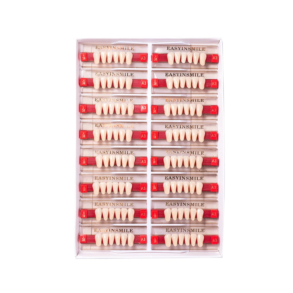 84/96PCS Dental Resin Teeth Acrylic Synthetic Denture A1 A2 A3 Shade 2-Layer Acrylic Denture Education Model Upper/Lower A1-D4