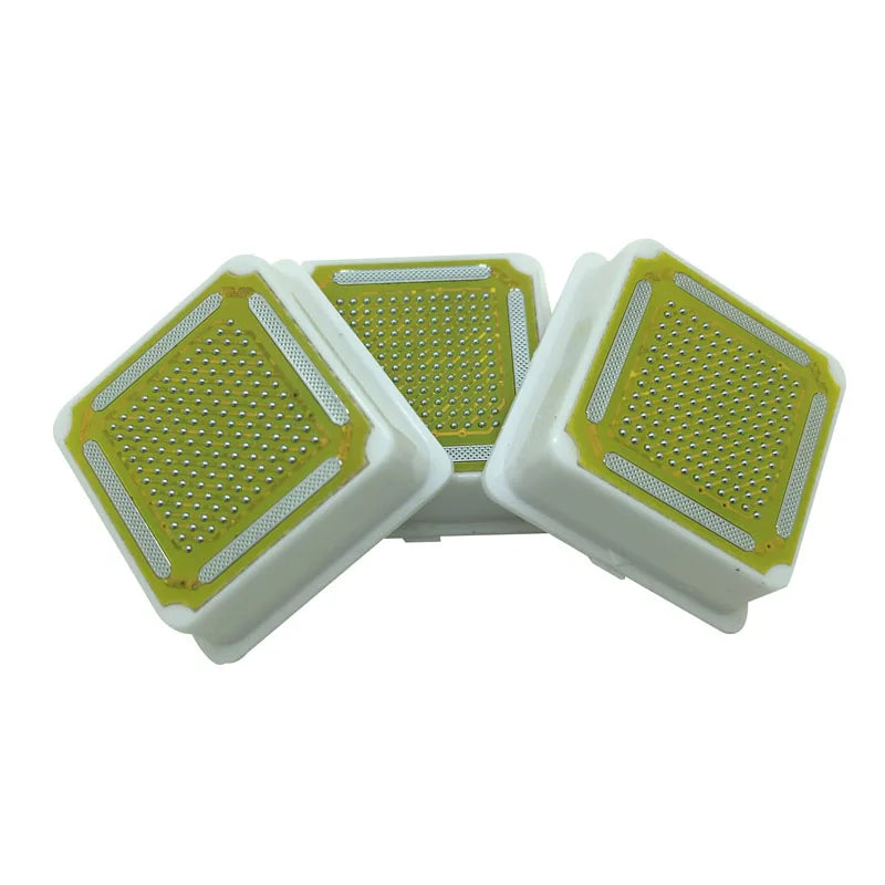 2pcs/lot Replacable Tip RF Radio Frequency Dot Matrix Replacement Skin Care Tightening Lifting Massager Head