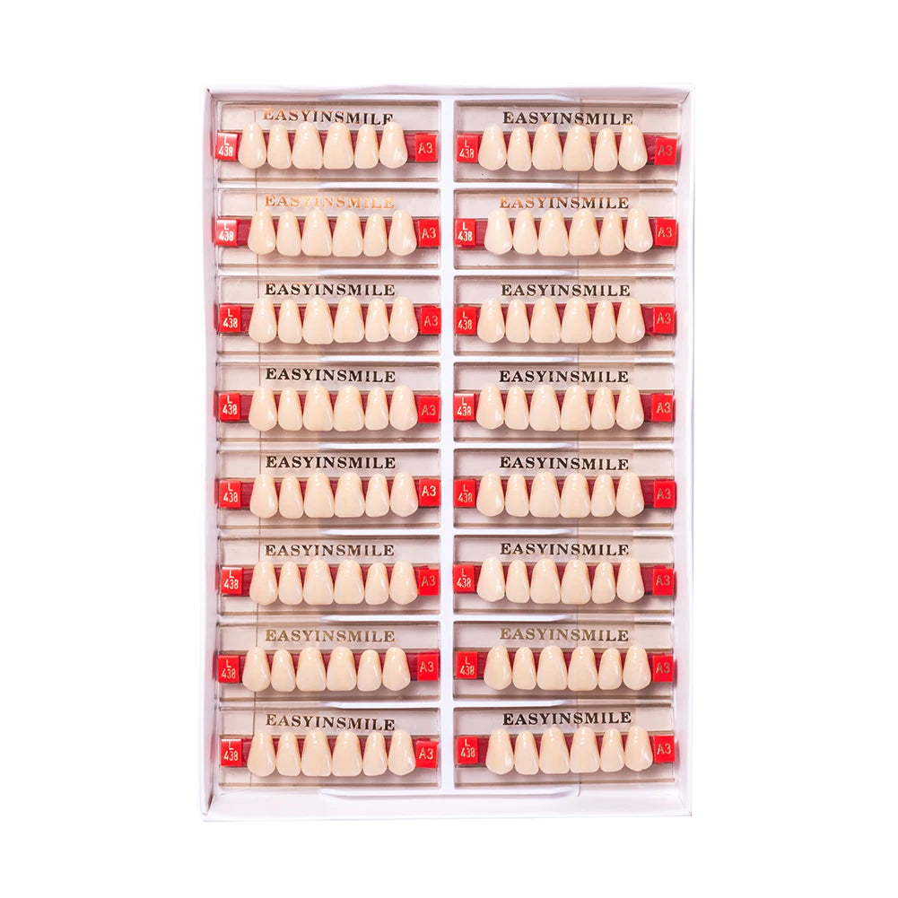 84/96PCS Dental Resin Teeth Acrylic Synthetic Denture A1 A2 A3 Shade 2-Layer Acrylic Denture Education Model Upper/Lower A1-D4