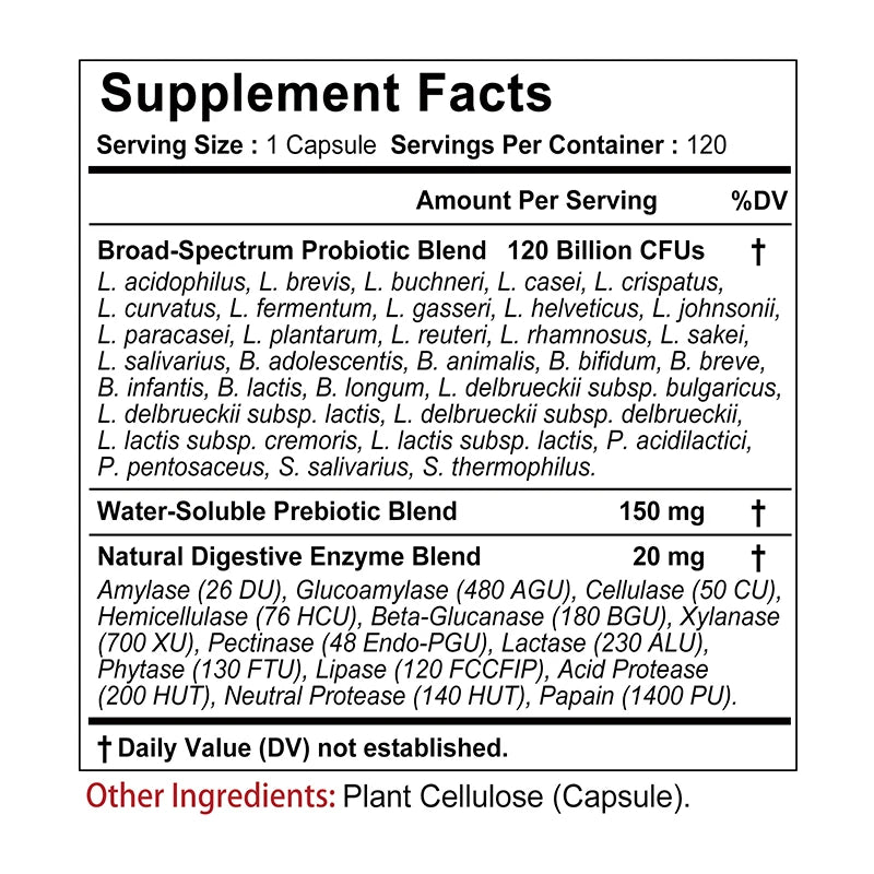 Probiotics + Prebiotics + Digestive Enzymes - Improves Digestion and Immunity, Relieves Constipation, Supports Intestinal Health