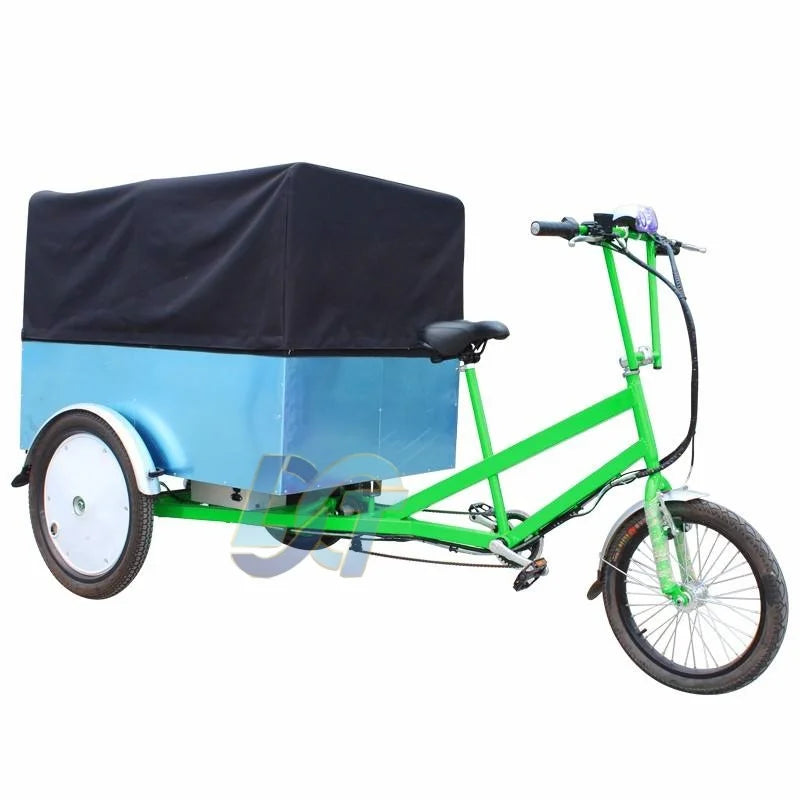 Goods Electric Truck Delivery Tricycle with 500w Motor E-cargo Tricycle
