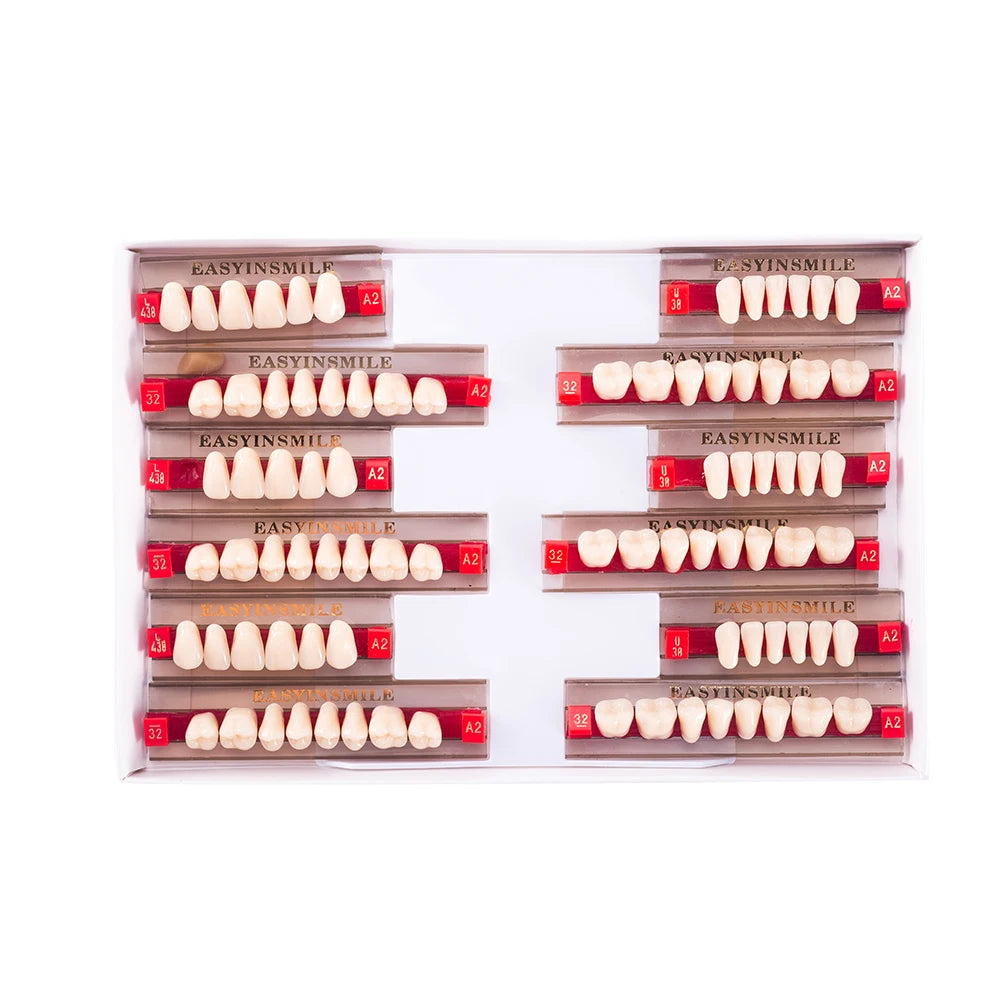 84/96PCS Dental Resin Teeth Acrylic Synthetic Denture A1 A2 A3 Shade 2-Layer Acrylic Denture Education Model Upper/Lower A1-D4
