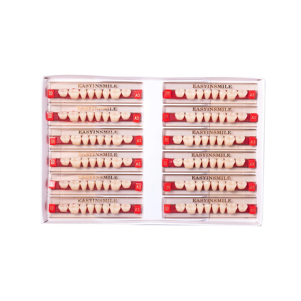 84/96PCS Dental Resin Teeth Acrylic Synthetic Denture A1 A2 A3 Shade 2-Layer Acrylic Denture Education Model Upper/Lower A1-D4