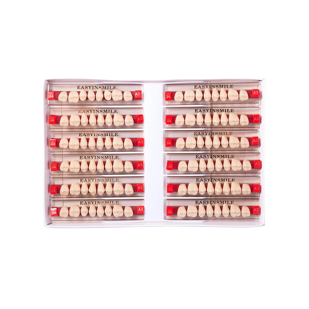 84/96PCS Dental Resin Teeth Acrylic Synthetic Denture A1 A2 A3 Shade 2-Layer Acrylic Denture Education Model Upper/Lower A1-D4