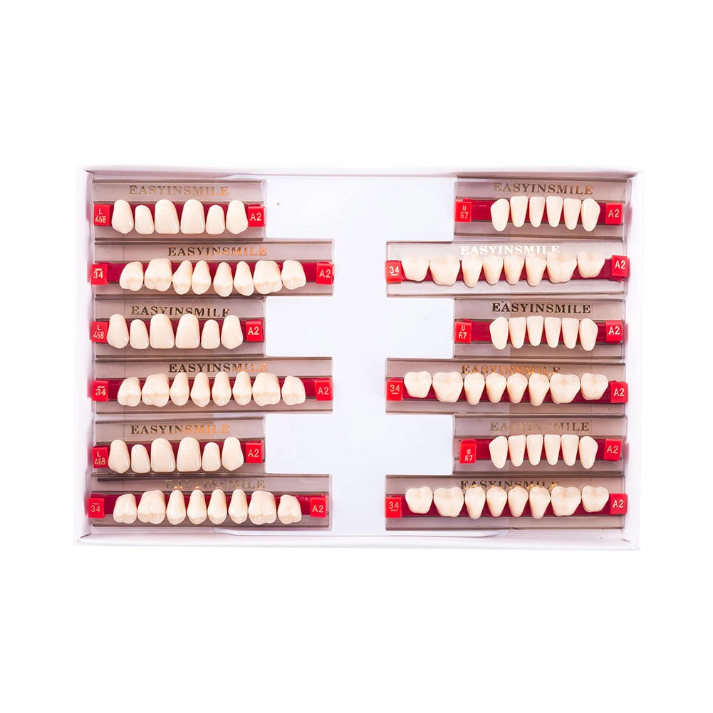 84/96PCS Dental Resin Teeth Acrylic Synthetic Denture A1 A2 A3 Shade 2-Layer Acrylic Denture Education Model Upper/Lower A1-D4