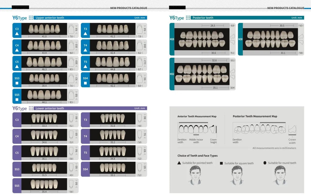 84/96PCS Dental Resin Teeth Acrylic Synthetic Denture A1 A2 A3 Shade 2-Layer Acrylic Denture Education Model Upper/Lower A1-D4