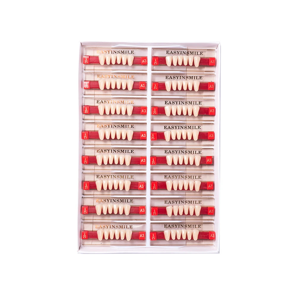 84/96PCS Dental Resin Teeth Acrylic Synthetic Denture A1 A2 A3 Shade 2-Layer Acrylic Denture Education Model Upper/Lower A1-D4