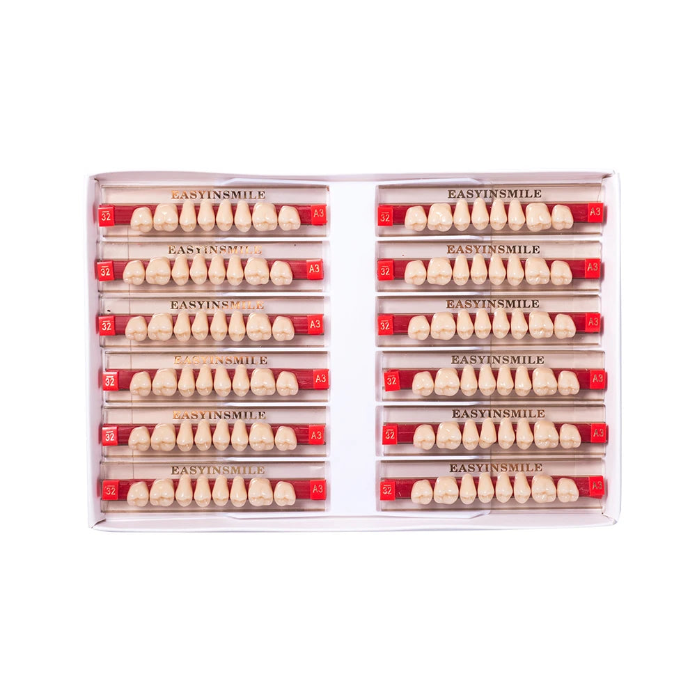 84/96PCS Dental Resin Teeth Acrylic Synthetic Denture A1 A2 A3 Shade 2-Layer Acrylic Denture Education Model Upper/Lower A1-D4