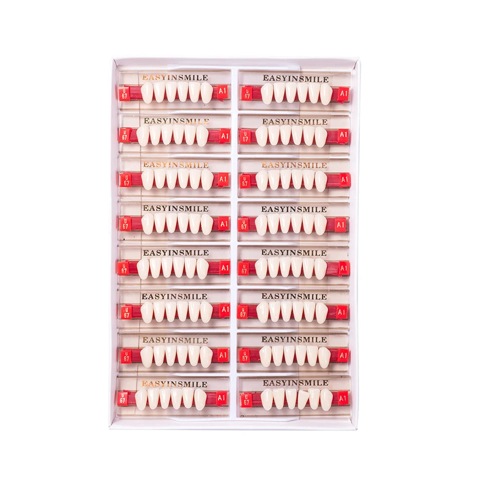 84/96PCS Dental Resin Teeth Acrylic Synthetic Denture A1 A2 A3 Shade 2-Layer Acrylic Denture Education Model Upper/Lower A1-D4
