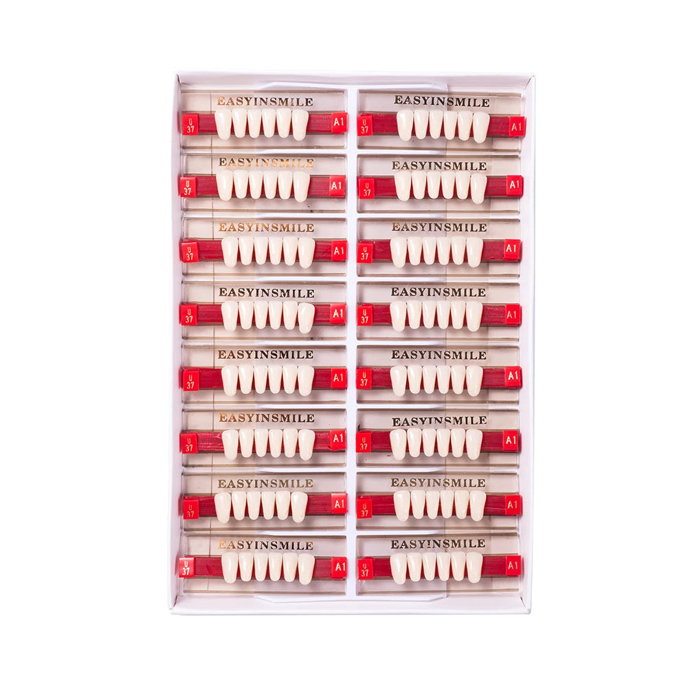 84/96PCS Dental Resin Teeth Acrylic Synthetic Denture A1 A2 A3 Shade 2-Layer Acrylic Denture Education Model Upper/Lower A1-D4