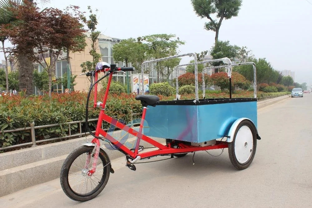 Goods Electric Truck Delivery Tricycle with 500w Motor E-cargo Tricycle