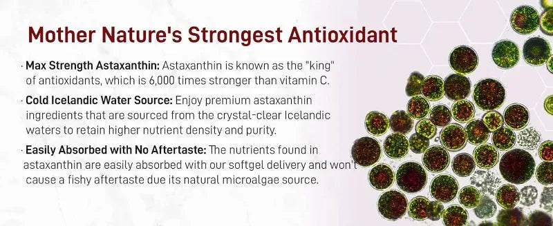 Astaxanthin Softgels 12mg with MCT Coconut Oil from Haematococcus Pluvialis Microalgae Daily Wellness Supplement 120 Count