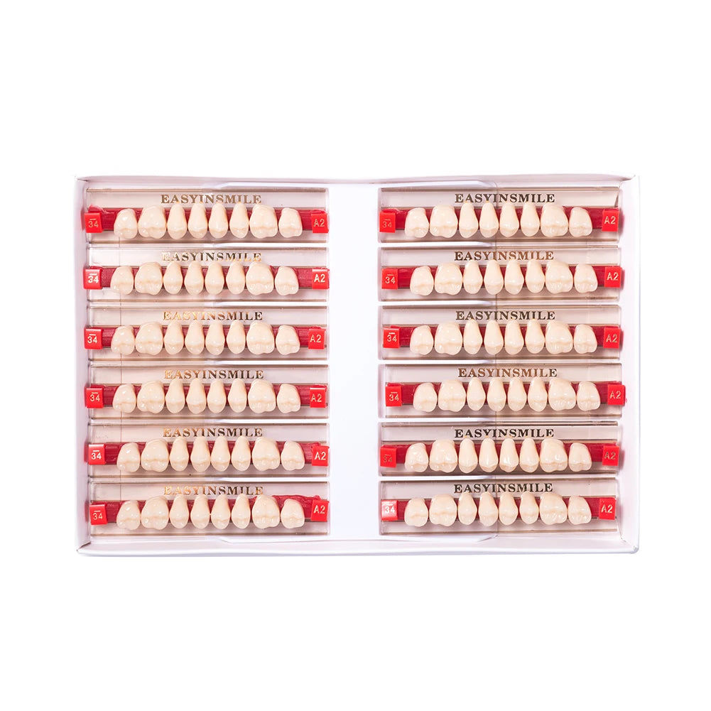 84/96PCS Dental Resin Teeth Acrylic Synthetic Denture A1 A2 A3 Shade 2-Layer Acrylic Denture Education Model Upper/Lower A1-D4
