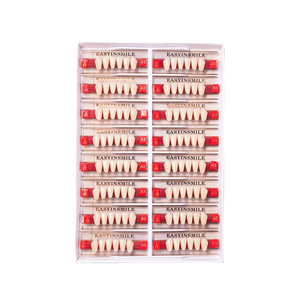 84/96PCS Dental Resin Teeth Acrylic Synthetic Denture A1 A2 A3 Shade 2-Layer Acrylic Denture Education Model Upper/Lower A1-D4
