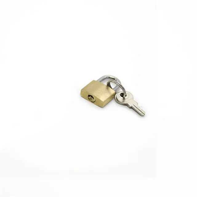 Chastity Cage Catheter,Anti- Fall-off Ring,auxiliary Belt,Keys,Accessories For Chastity Device Cock Cage Penis Ring Adult Sextoy