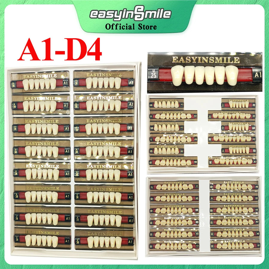 84/96PCS Dental Resin Teeth Acrylic Synthetic Denture A1 A2 A3 Shade 2-Layer Acrylic Denture Education Model Upper/Lower A1-D4