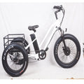 Pedals 3 Wheel Electric Tricycle  with Fat Tire