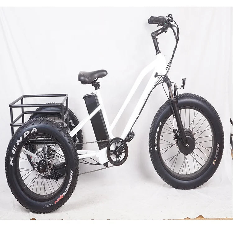 Pedals 3 Wheel Electric Tricycle  with Fat Tire