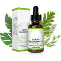 Mint Flavor Chlorophyll Liquid Chlorophyll Energy Supplement Natural Chlorophyll Deodorant Extra Strength Effective Sleep Aid