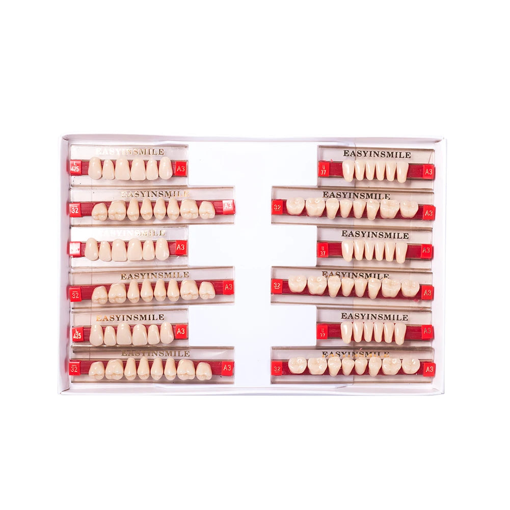 84/96PCS Dental Resin Teeth Acrylic Synthetic Denture A1 A2 A3 Shade 2-Layer Acrylic Denture Education Model Upper/Lower A1-D4