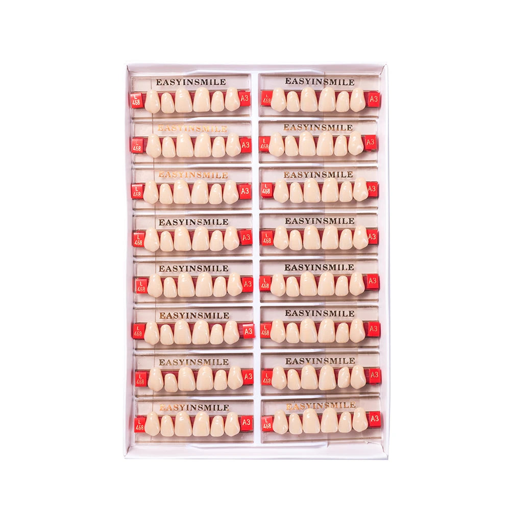 84/96PCS Dental Resin Teeth Acrylic Synthetic Denture A1 A2 A3 Shade 2-Layer Acrylic Denture Education Model Upper/Lower A1-D4