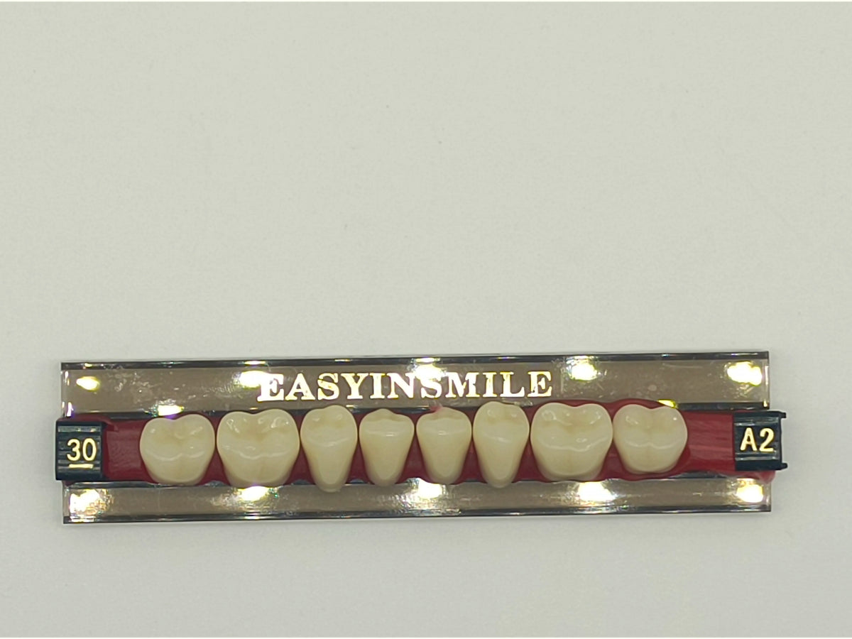 84/96PCS Dental Resin Teeth Acrylic Synthetic Denture A1 A2 A3 Shade 2-Layer Acrylic Denture Education Model Upper/Lower A1-D4