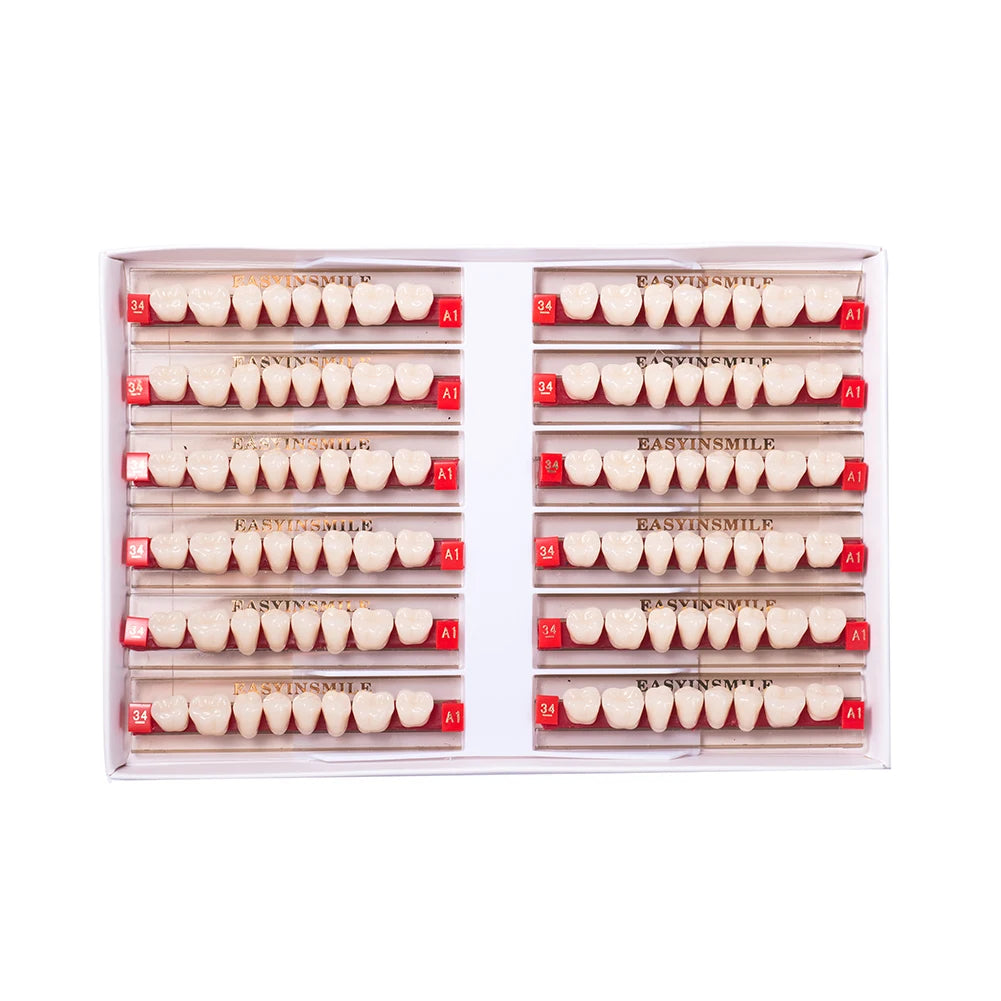 84/96PCS Dental Resin Teeth Acrylic Synthetic Denture A1 A2 A3 Shade 2-Layer Acrylic Denture Education Model Upper/Lower A1-D4