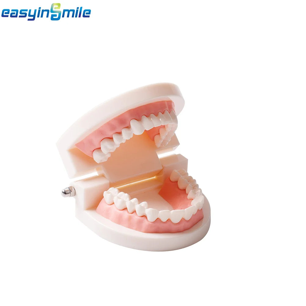 84/96PCS Dental Resin Teeth Acrylic Synthetic Denture A1 A2 A3 Shade 2-Layer Acrylic Denture Education Model Upper/Lower A1-D4