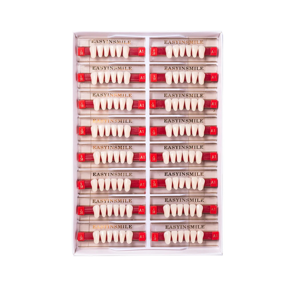 84/96PCS Dental Resin Teeth Acrylic Synthetic Denture A1 A2 A3 Shade 2-Layer Acrylic Denture Education Model Upper/Lower A1-D4