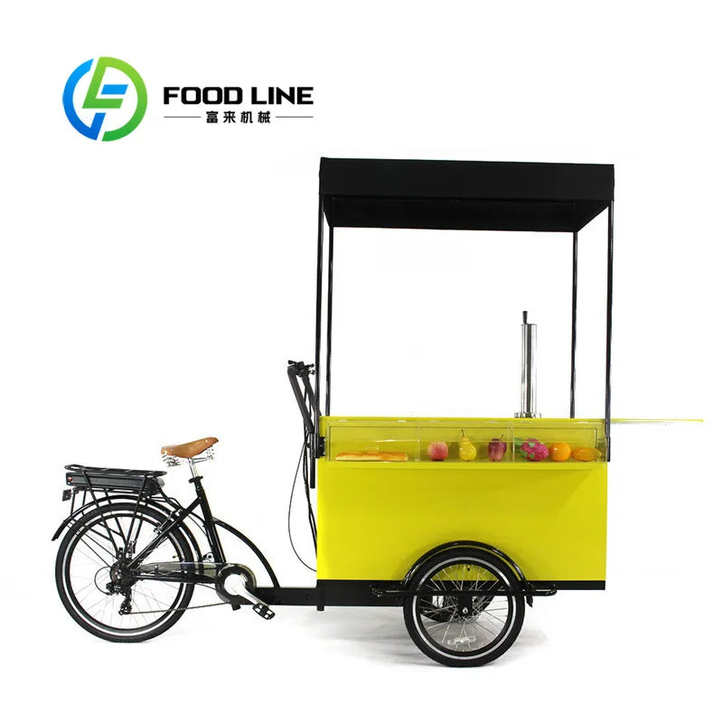 Electric Beer Cargo Bike Adult Tricycle 3 Wheels Kiosk Mobile Food Display Cart for Coffee Fruit Beer on the Street
