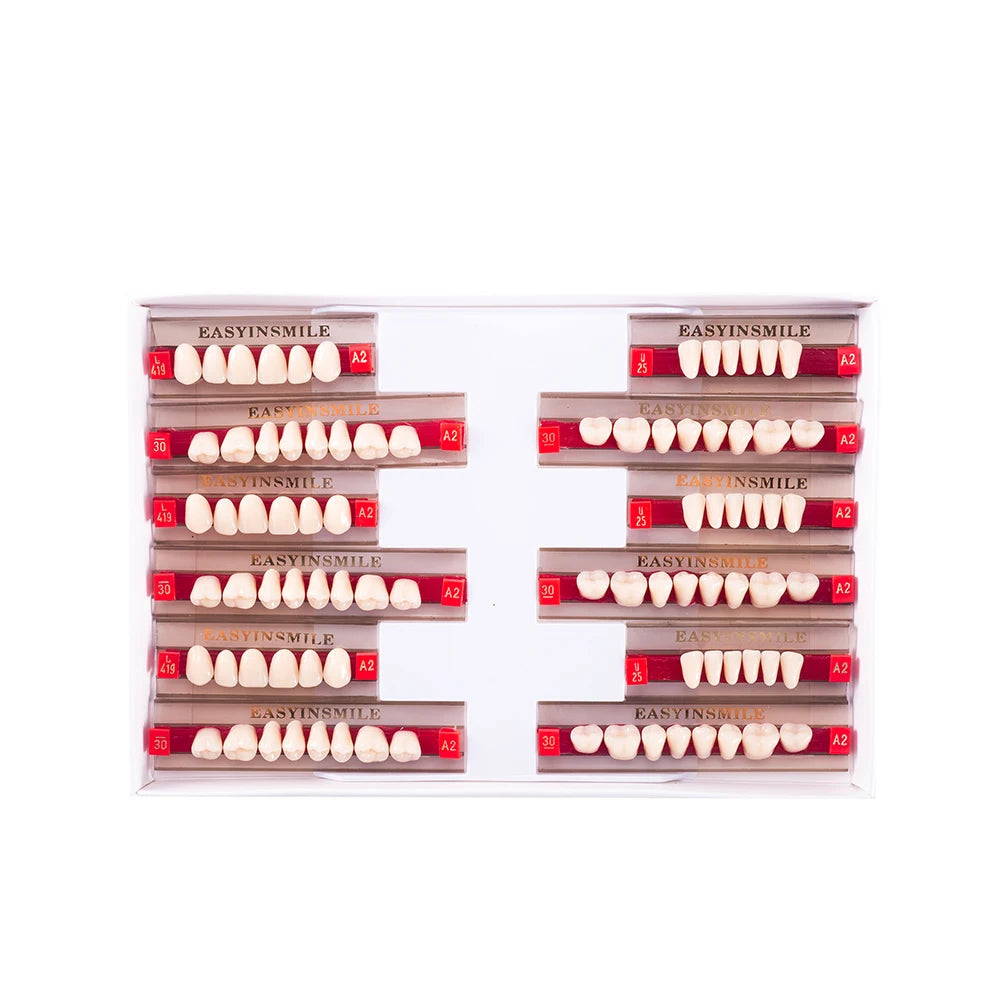 84/96PCS Dental Resin Teeth Acrylic Synthetic Denture A1 A2 A3 Shade 2-Layer Acrylic Denture Education Model Upper/Lower A1-D4