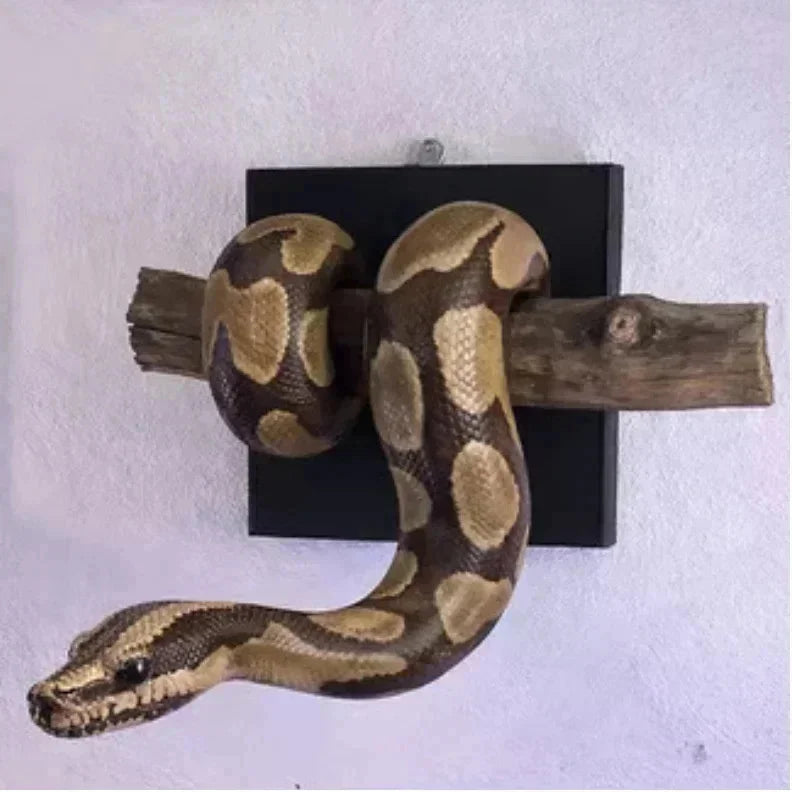 Golden Ball Python Wall Art 3D Metallic Snake Sculpture Home Decor For Snake Lovers Halloween Christmas Gift Gothic Accent