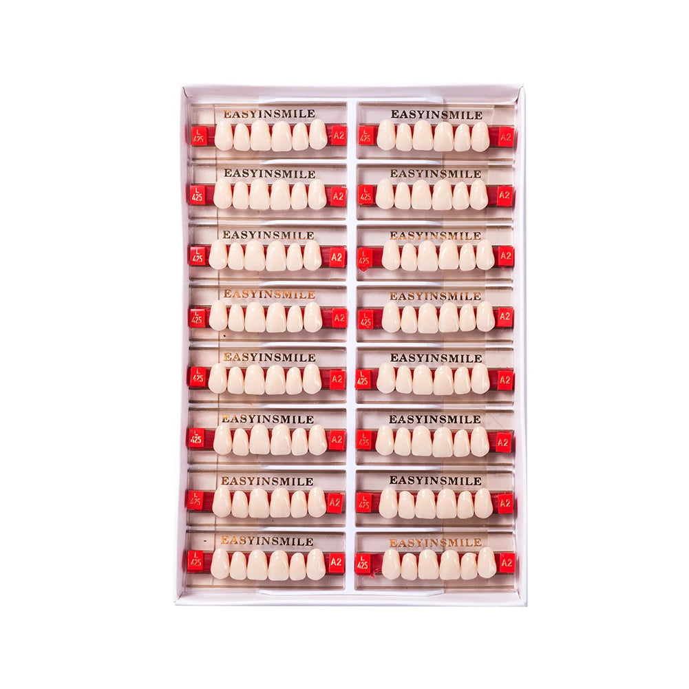 84/96PCS Dental Resin Teeth Acrylic Synthetic Denture A1 A2 A3 Shade 2-Layer Acrylic Denture Education Model Upper/Lower A1-D4