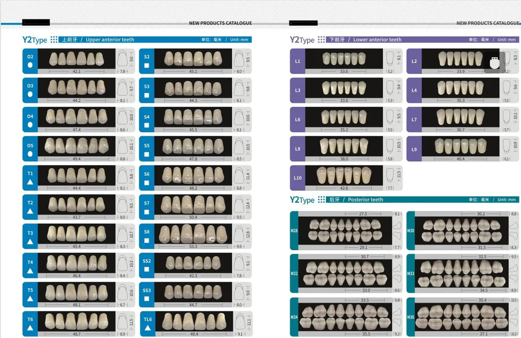84/96PCS Dental Resin Teeth Acrylic Synthetic Denture A1 A2 A3 Shade 2-Layer Acrylic Denture Education Model Upper/Lower A1-D4