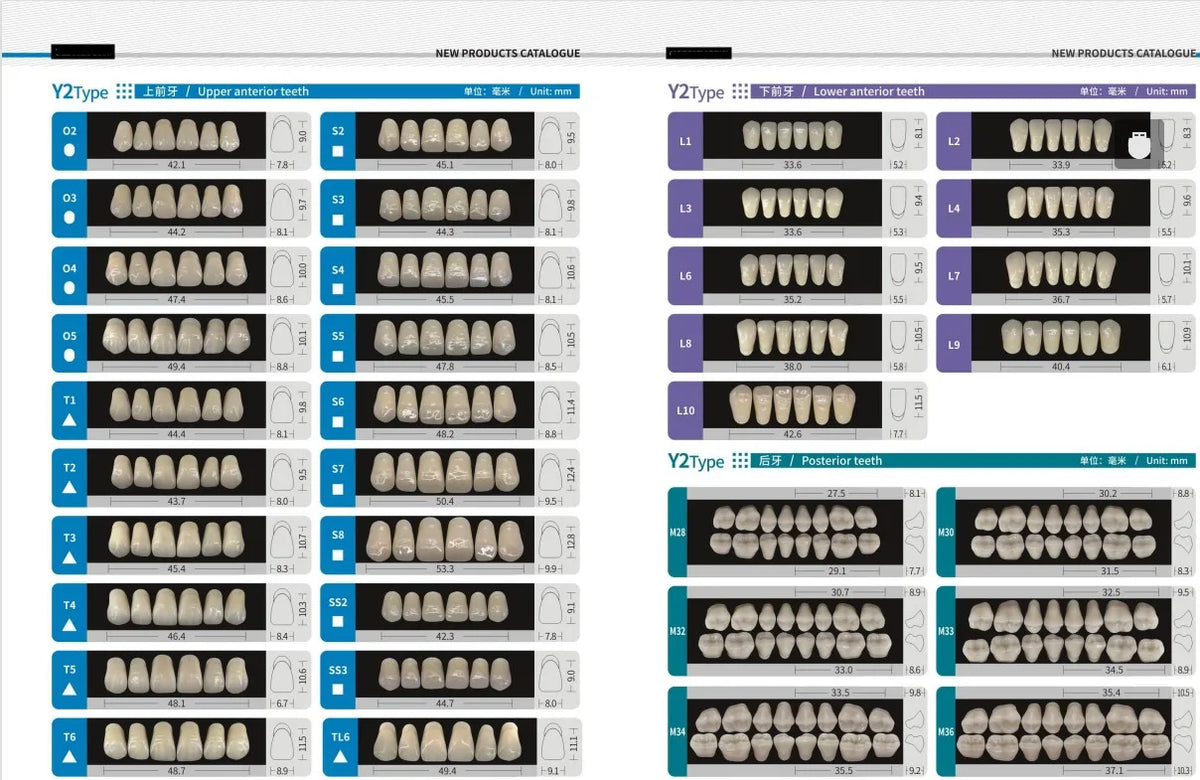 84/96PCS Dental Resin Teeth Acrylic Synthetic Denture A1 A2 A3 Shade 2-Layer Acrylic Denture Education Model Upper/Lower A1-D4