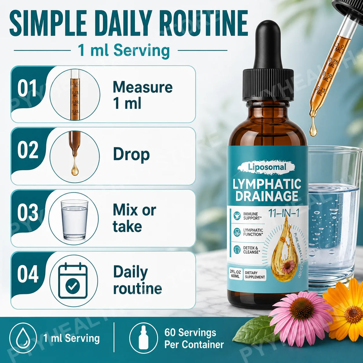 Lymphatic Drainage Support Drops with Elderberry Echinacea Burdock & Dandelion for Fluid Balance Detox & Circulation 2 Fl Oz