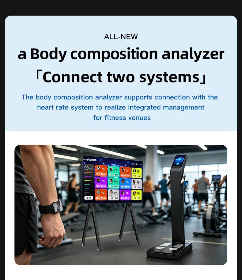 Professional 3D Whole Body Health Scanner Touch Screen Body Composition Analyzer