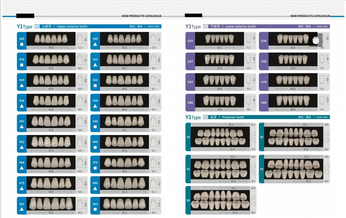 84/96PCS Dental Resin Teeth Acrylic Synthetic Denture A1 A2 A3 Shade 2-Layer Acrylic Denture Education Model Upper/Lower A1-D4