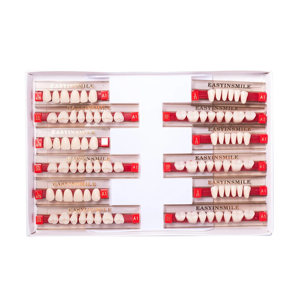 84/96PCS Dental Resin Teeth Acrylic Synthetic Denture A1 A2 A3 Shade 2-Layer Acrylic Denture Education Model Upper/Lower A1-D4