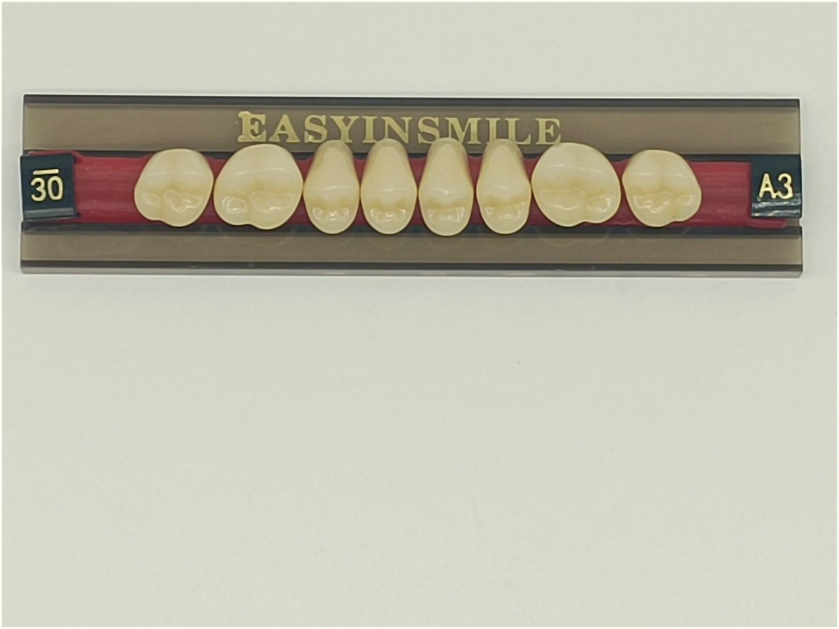 84/96PCS Dental Resin Teeth Acrylic Synthetic Denture A1 A2 A3 Shade 2-Layer Acrylic Denture Education Model Upper/Lower A1-D4