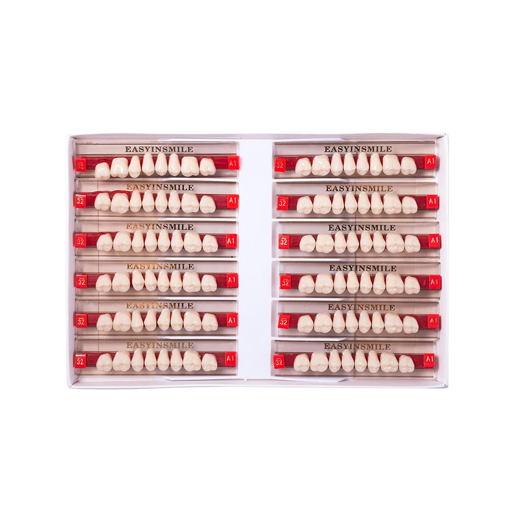 84/96PCS Dental Resin Teeth Acrylic Synthetic Denture A1 A2 A3 Shade 2-Layer Acrylic Denture Education Model Upper/Lower A1-D4