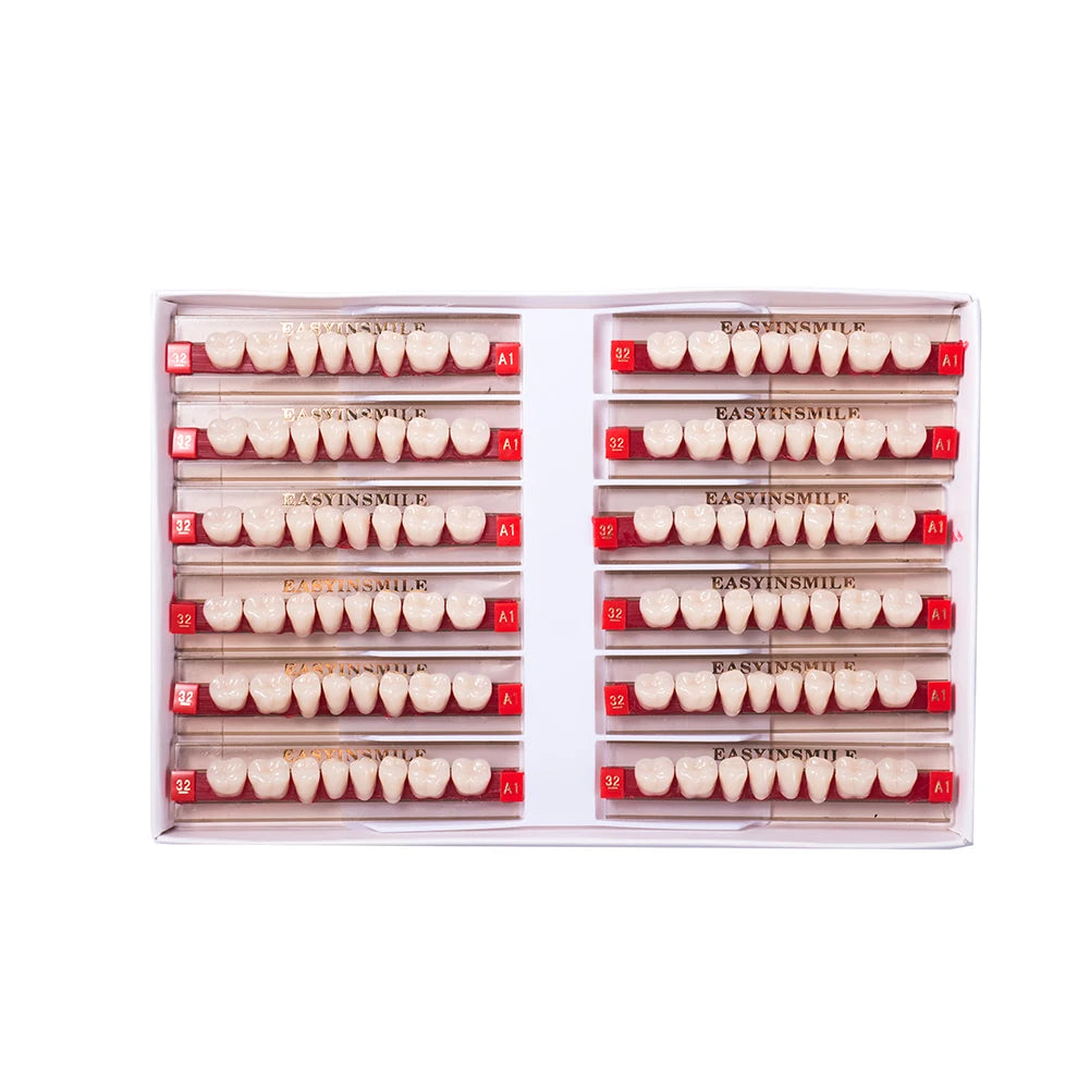 84/96PCS Dental Resin Teeth Acrylic Synthetic Denture A1 A2 A3 Shade 2-Layer Acrylic Denture Education Model Upper/Lower A1-D4