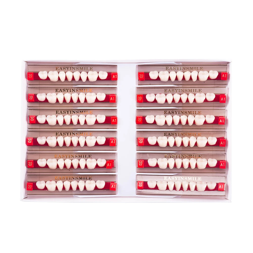 84/96PCS Dental Resin Teeth Acrylic Synthetic Denture A1 A2 A3 Shade 2-Layer Acrylic Denture Education Model Upper/Lower A1-D4