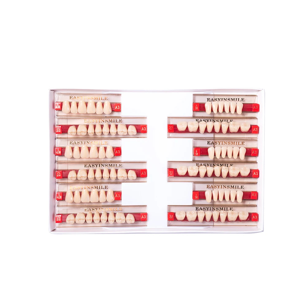 84/96PCS Dental Resin Teeth Acrylic Synthetic Denture A1 A2 A3 Shade 2-Layer Acrylic Denture Education Model Upper/Lower A1-D4